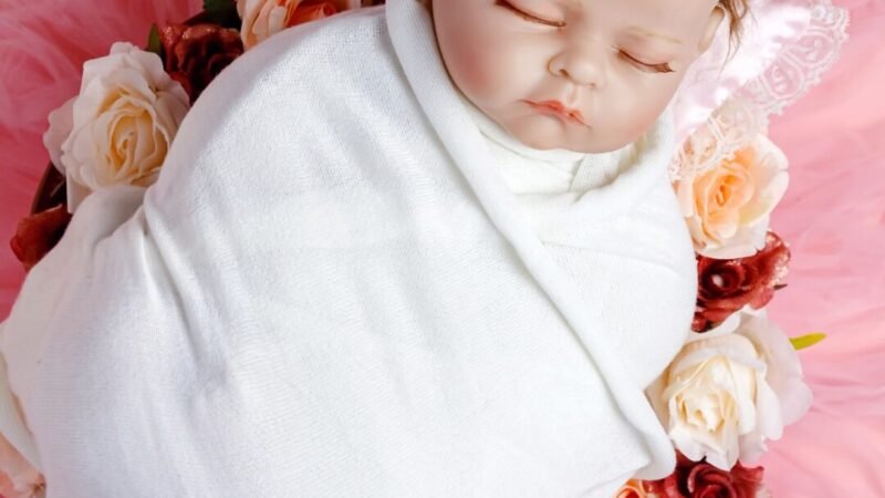 O que e por quê, mulheres estão buscando bebês reborn?