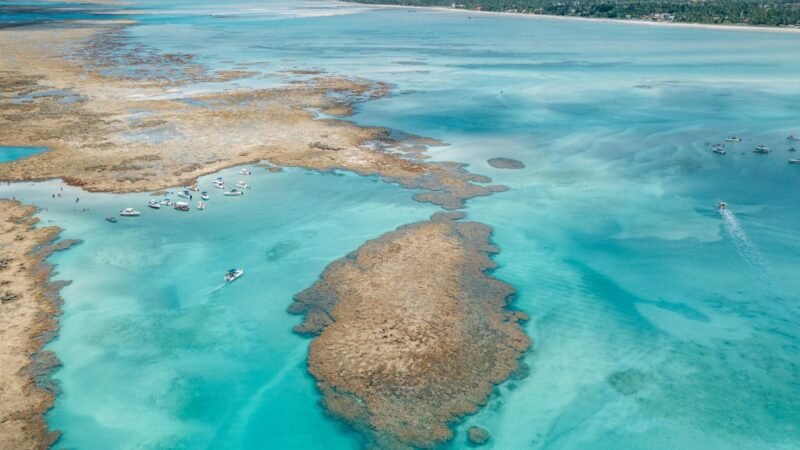 Destino dos sonhos: Maragogi se consolida como um dos destinos mais procurados por turistas brasileiros 