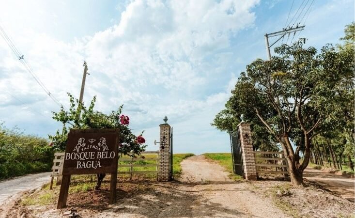 Na terra dos balões e do paraquedismo, uma fazenda de 300 anos convida a desacelerar