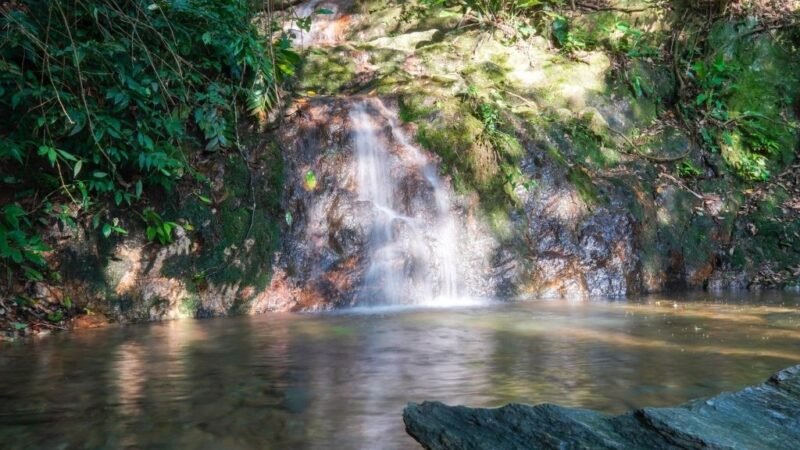 O que fazer em Penha/SC? Guia completo e passeios imperdíveis