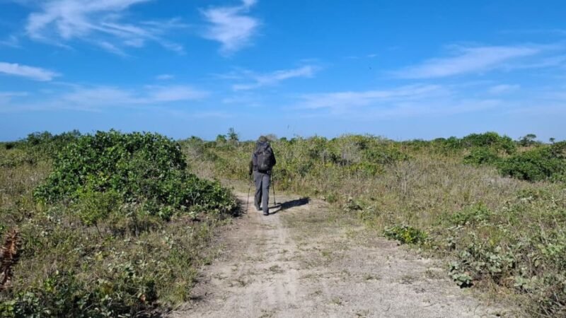 Governo de São Paulo lança Rede Estadual de Trilhas para integrar turismo sustentável e conservação ambiental