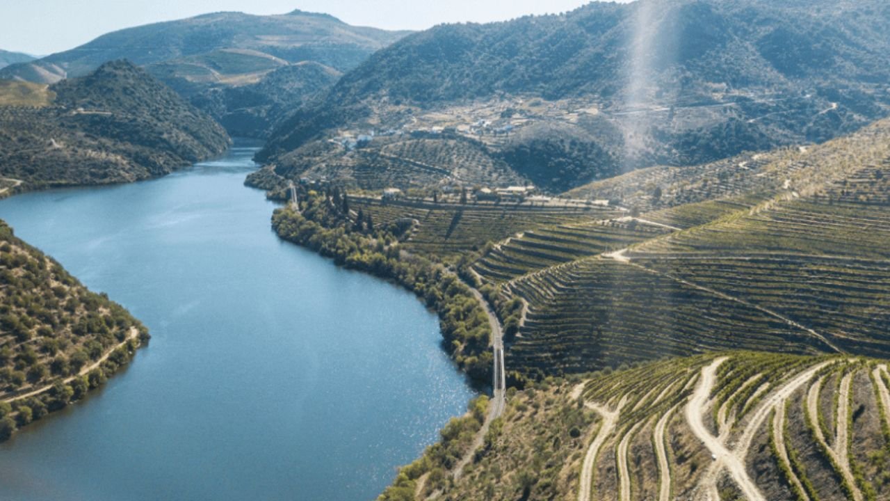 Vinho do Porto: mitos sobre harmonização